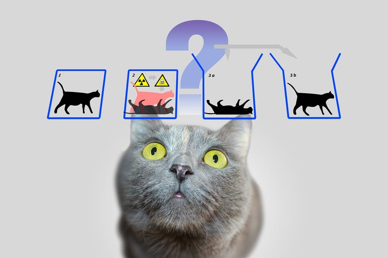Quantum Teleportation Device